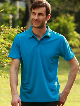 Men's Adults Basic Polo (Black, Bottle Green, Burgundy +8 more)
